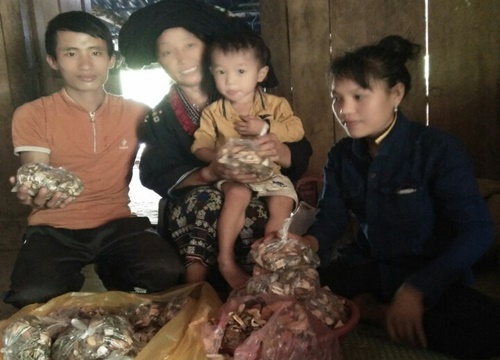 Lương y xứ Mường Phan Thị Diện – “mát tay” chữa các bệnh vô sinh, hiếm muộn